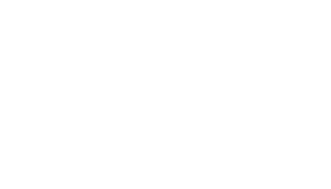 Gemini-1